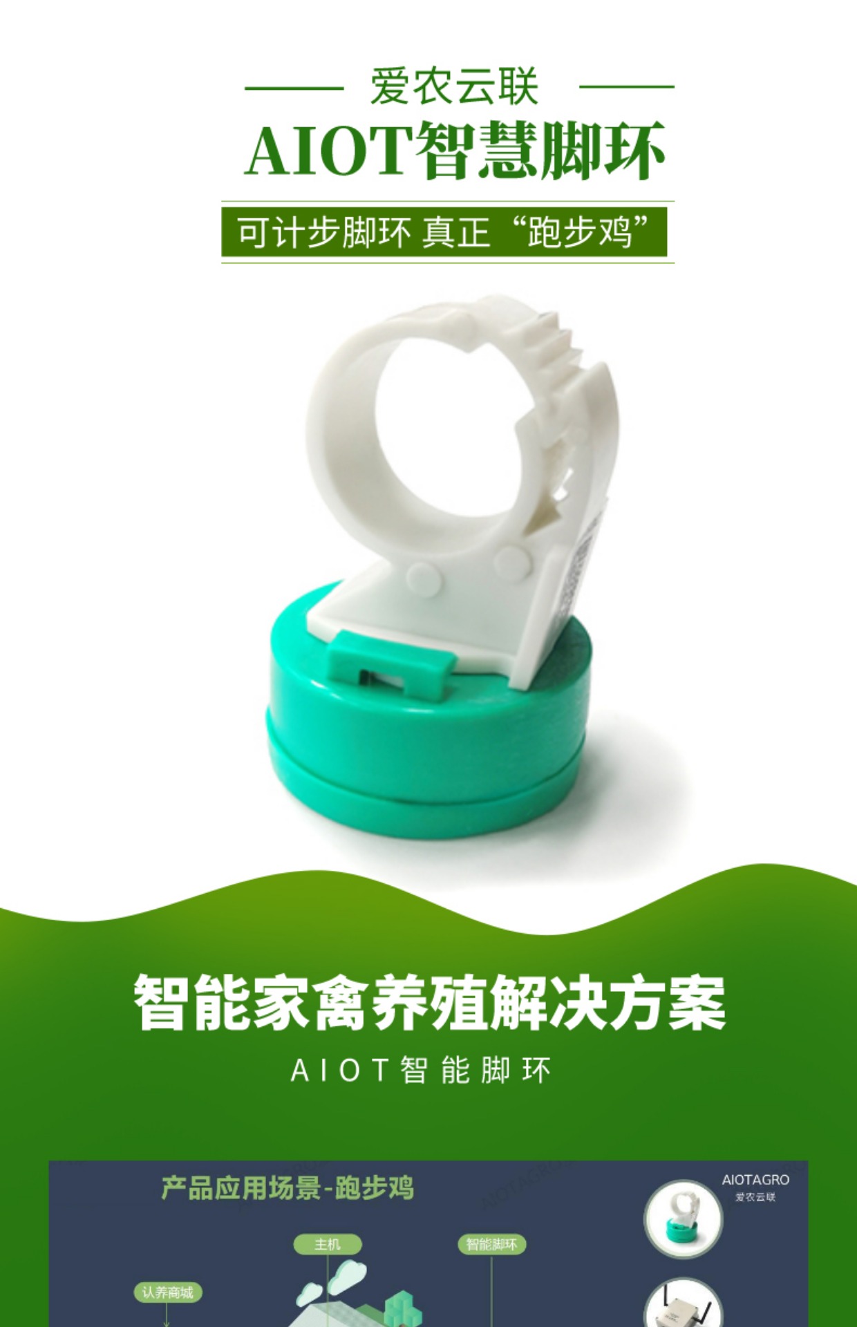 爱农云联的AIOT智慧鸡脚环-可计步的跑步鸡脚环